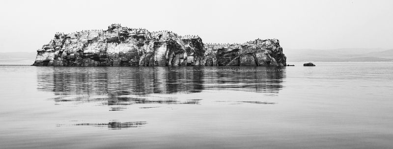 байкал малое море остров ижилхей еленка бакланы Плохо засыпаете? Сосчитайте бакланов ) фото превью