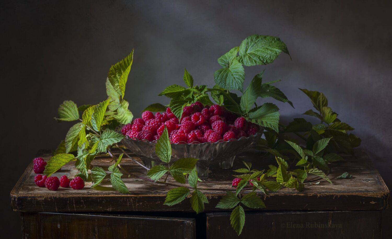 , Елена Рубинская