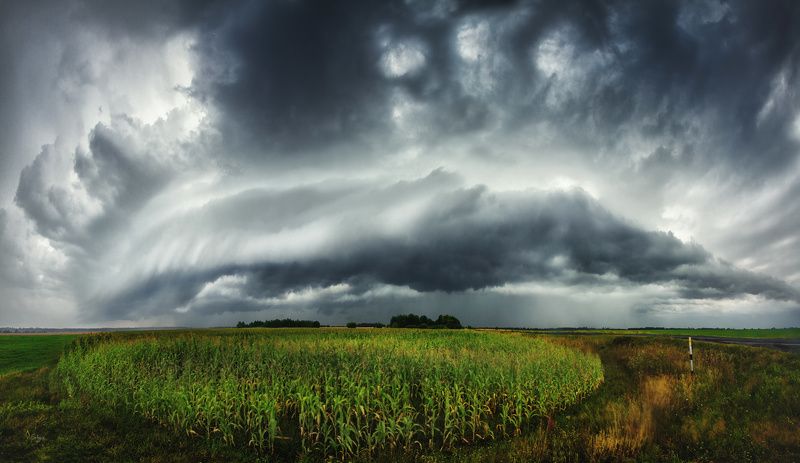 Беларусь Лето! фото превью