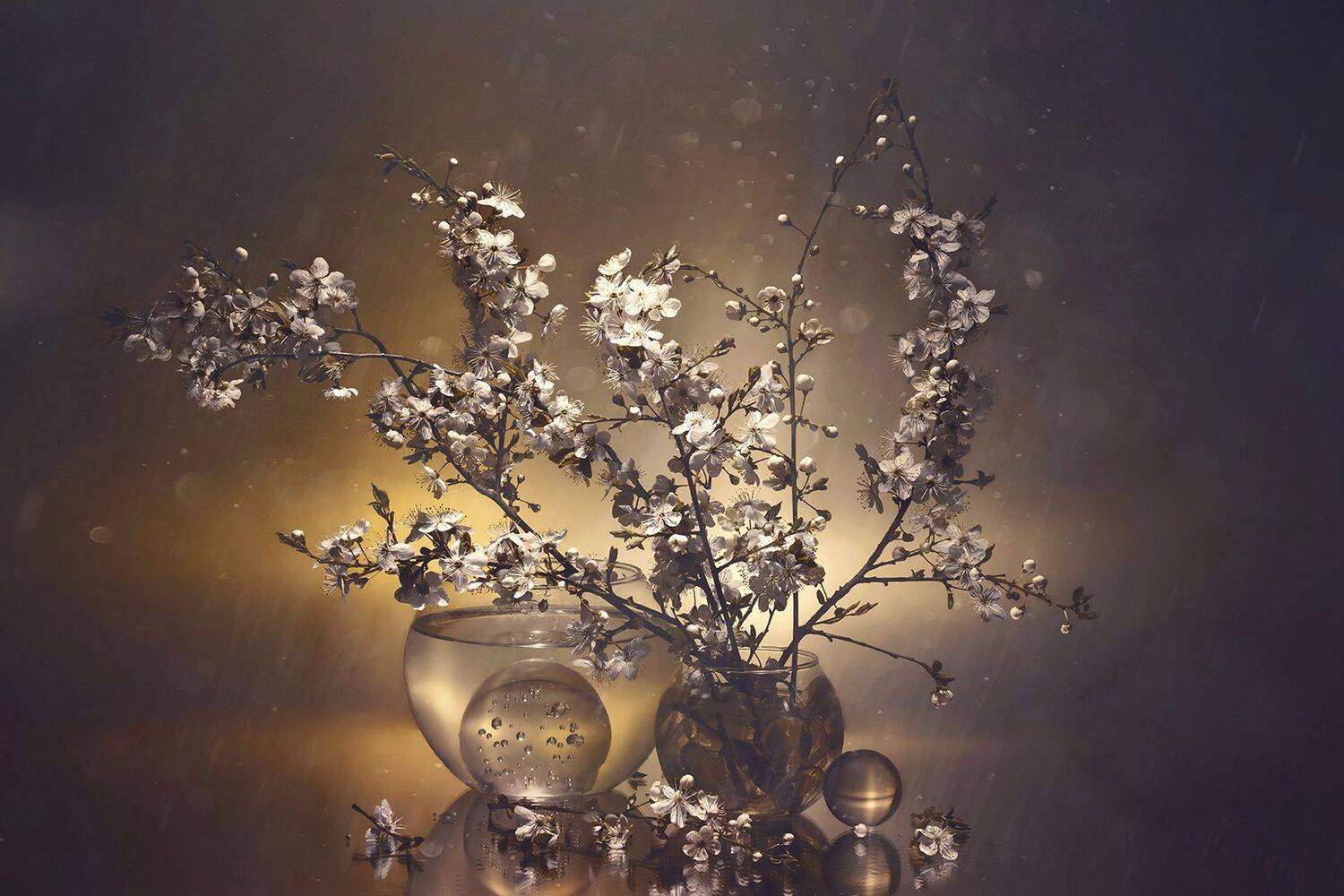 , MVO (Марк Орлов)