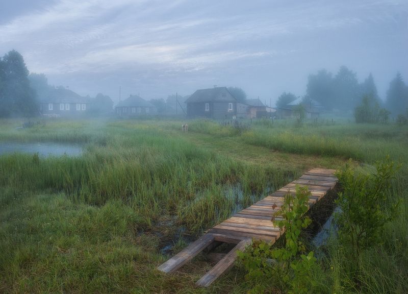 Июльское прохладное утро фото превью