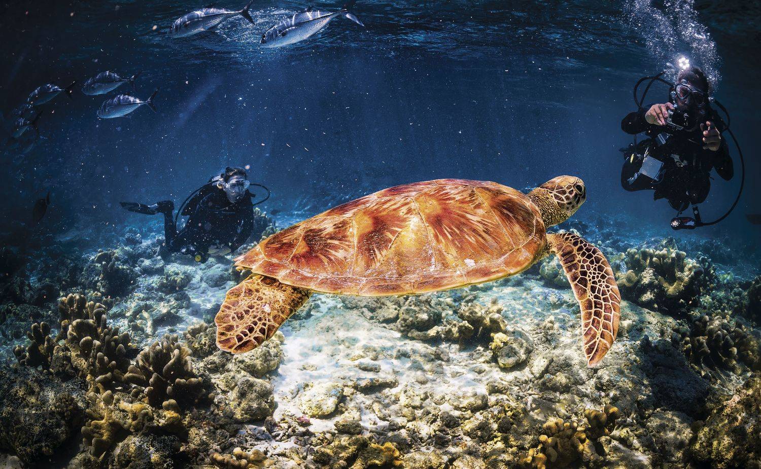 , Юрий Журавлев