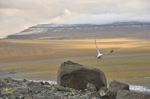 Северные Путораны