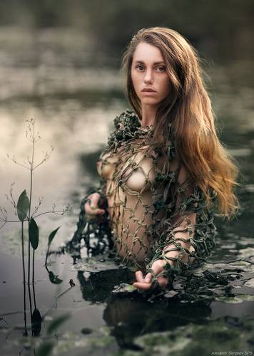 Болотная красавица