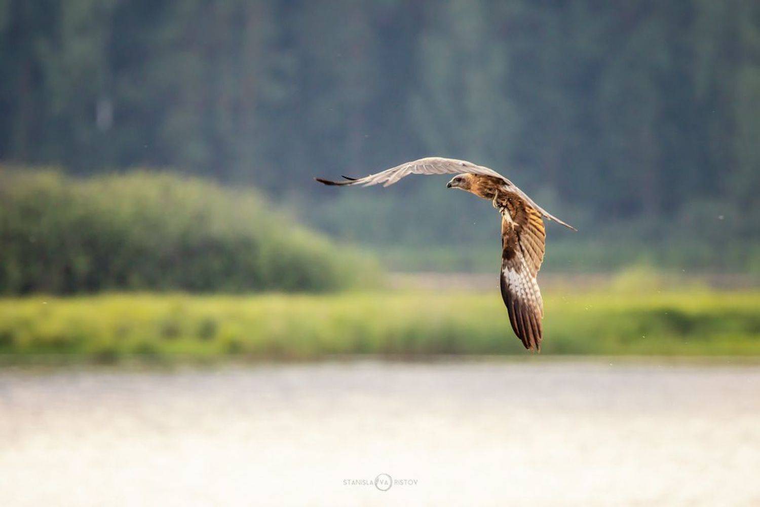 , Станислав Аристов