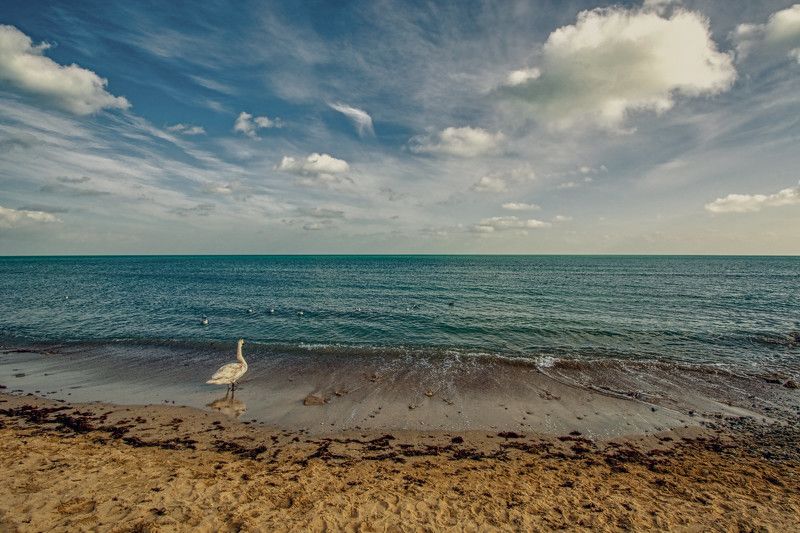 море Черное фото превью