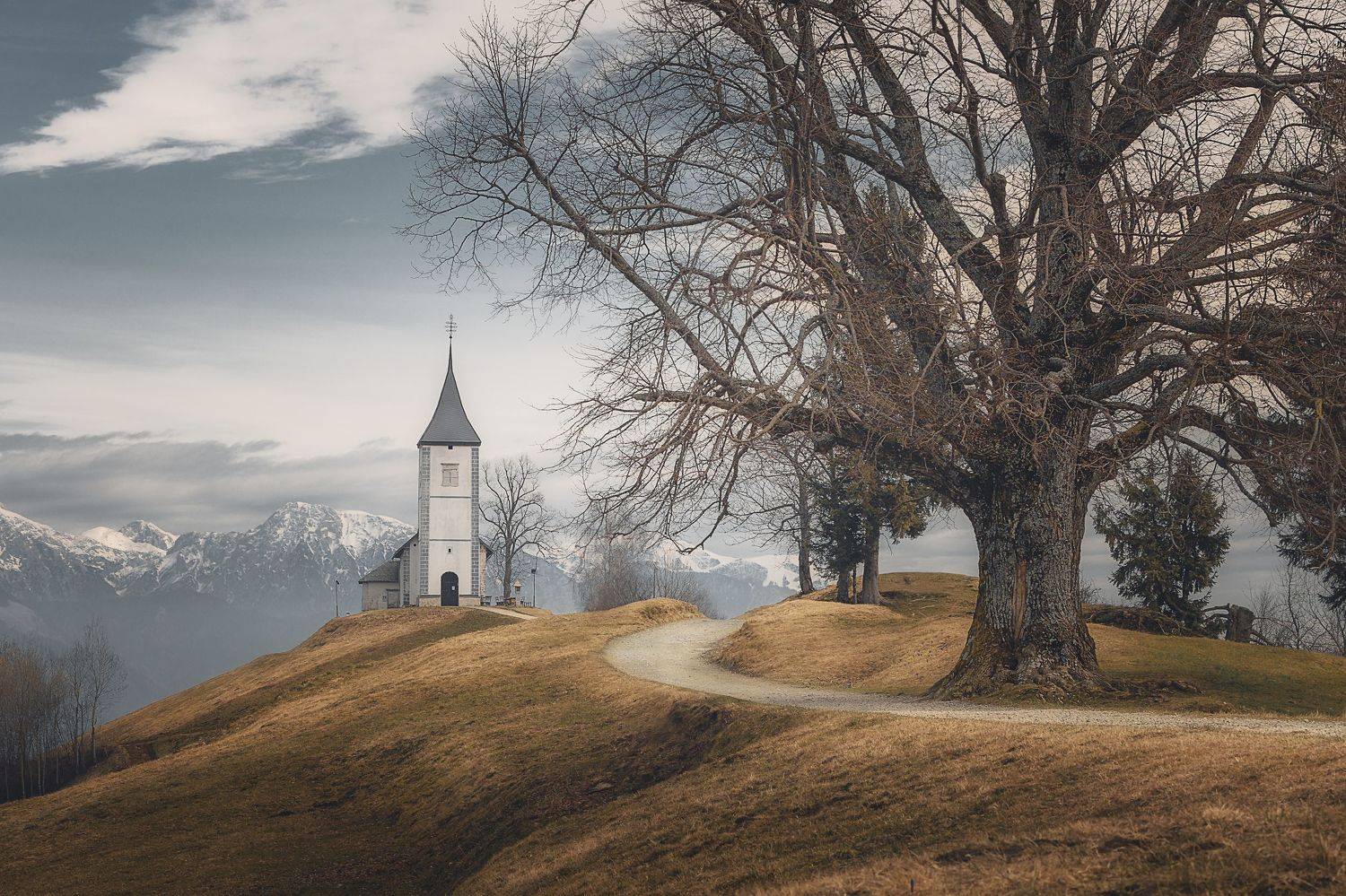 , Thomas de Franzoni