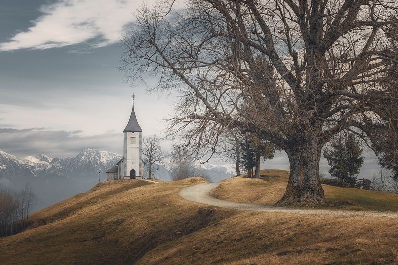 Memories of a Time to Come фото превью