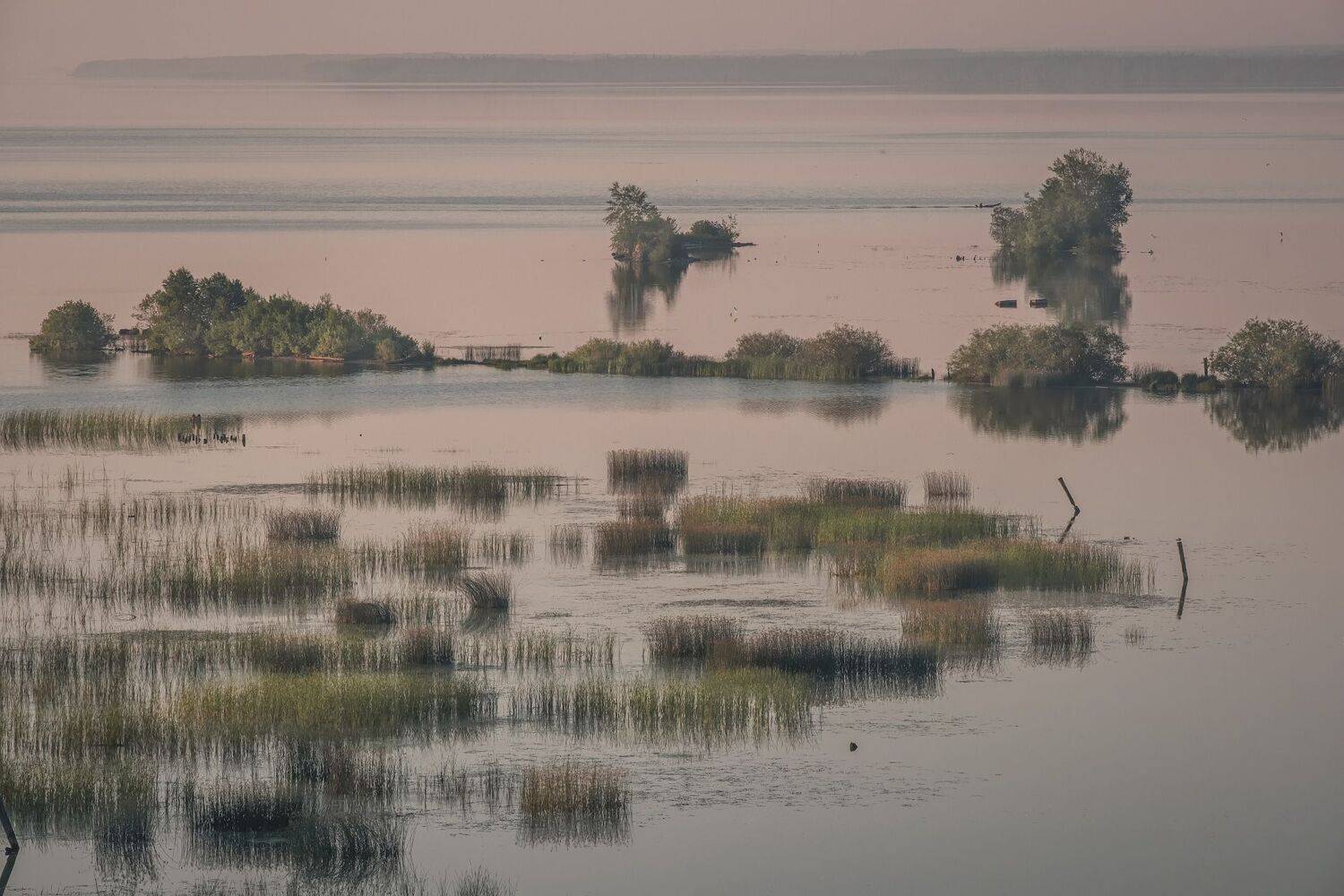 майкор, иньва, река, островки, закат, природа, лодка, птицы, лето, июль, пейзаж, урал, пермь, Андрей Чиж