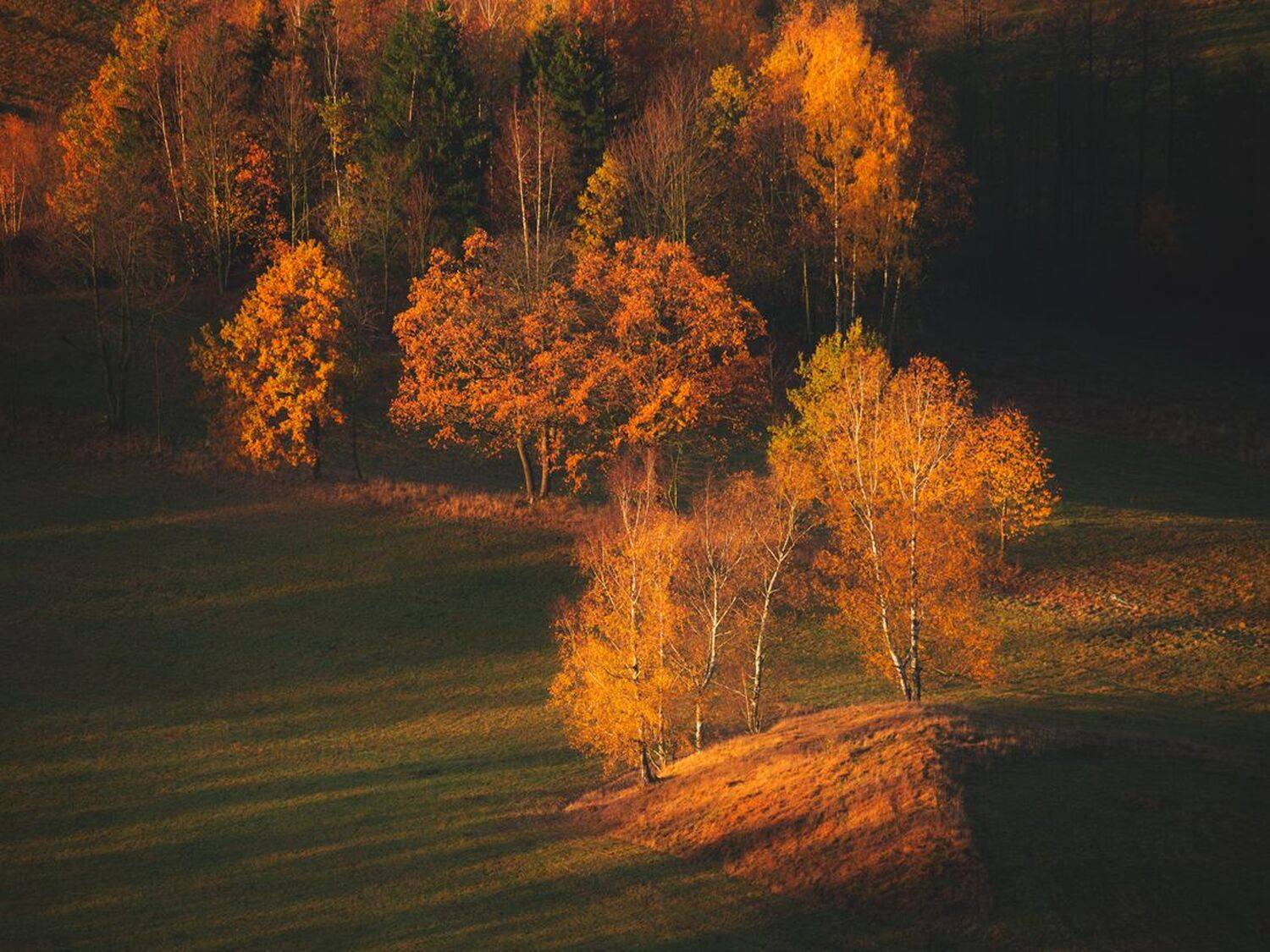 landscape,autumn,canon,mountains, Iza i Darek Mitręga