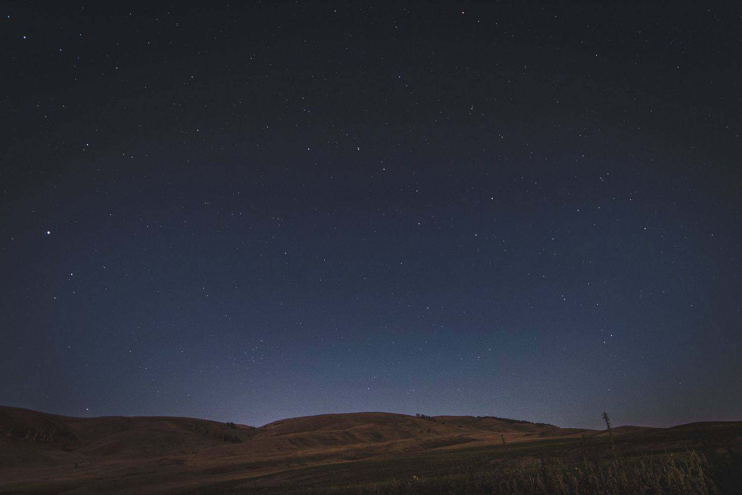 , Денис Храмеев