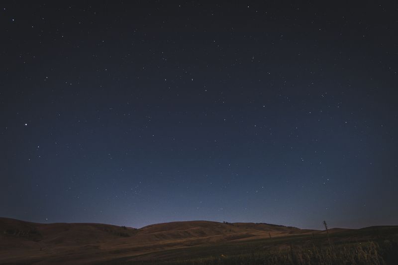 Летняя ночь фото превью