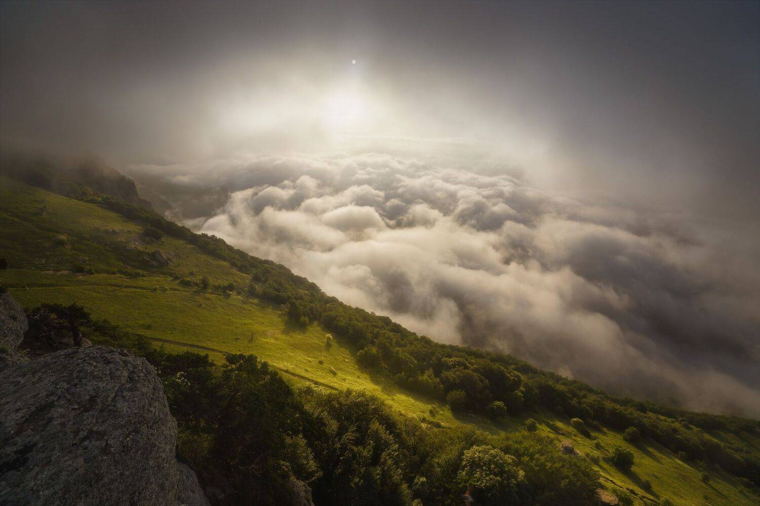 , Владимир Ляпин