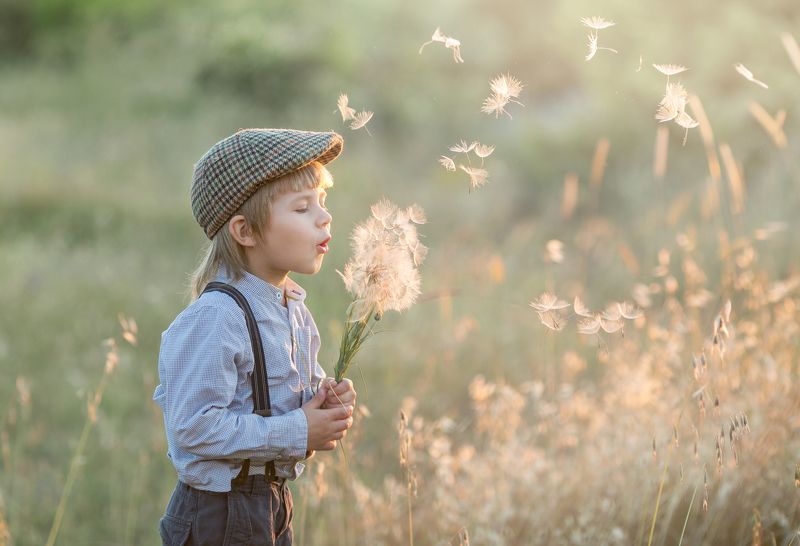 дети, лето, одуванчик, винтаж, ретро, мальчик лето фото превью