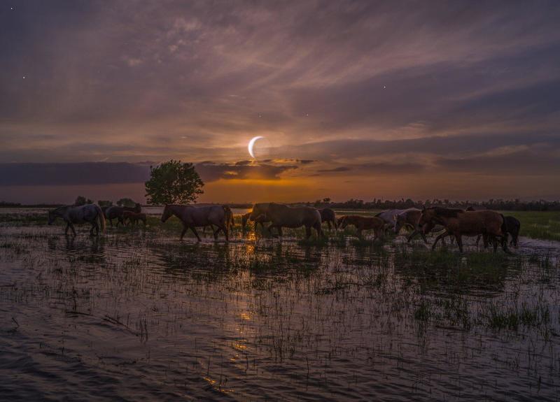 село  КАМЫШОВО ГРУСТНЫЙ  МЕСЯЦ  фото превью