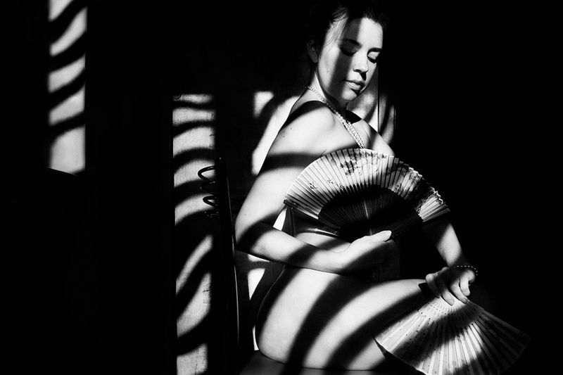 art nude, fine art nude, bw nude, estet mf, minimalism nude, shadows, zebra shadows, art shadows, zebra, zebra with a fan * фото превью