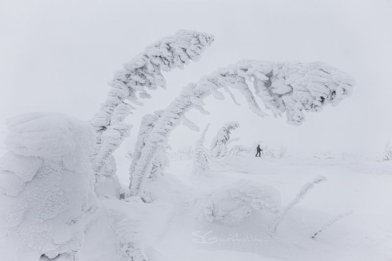 урал, северный урал, гух, зимний пейзаж Белый Урал фото превью