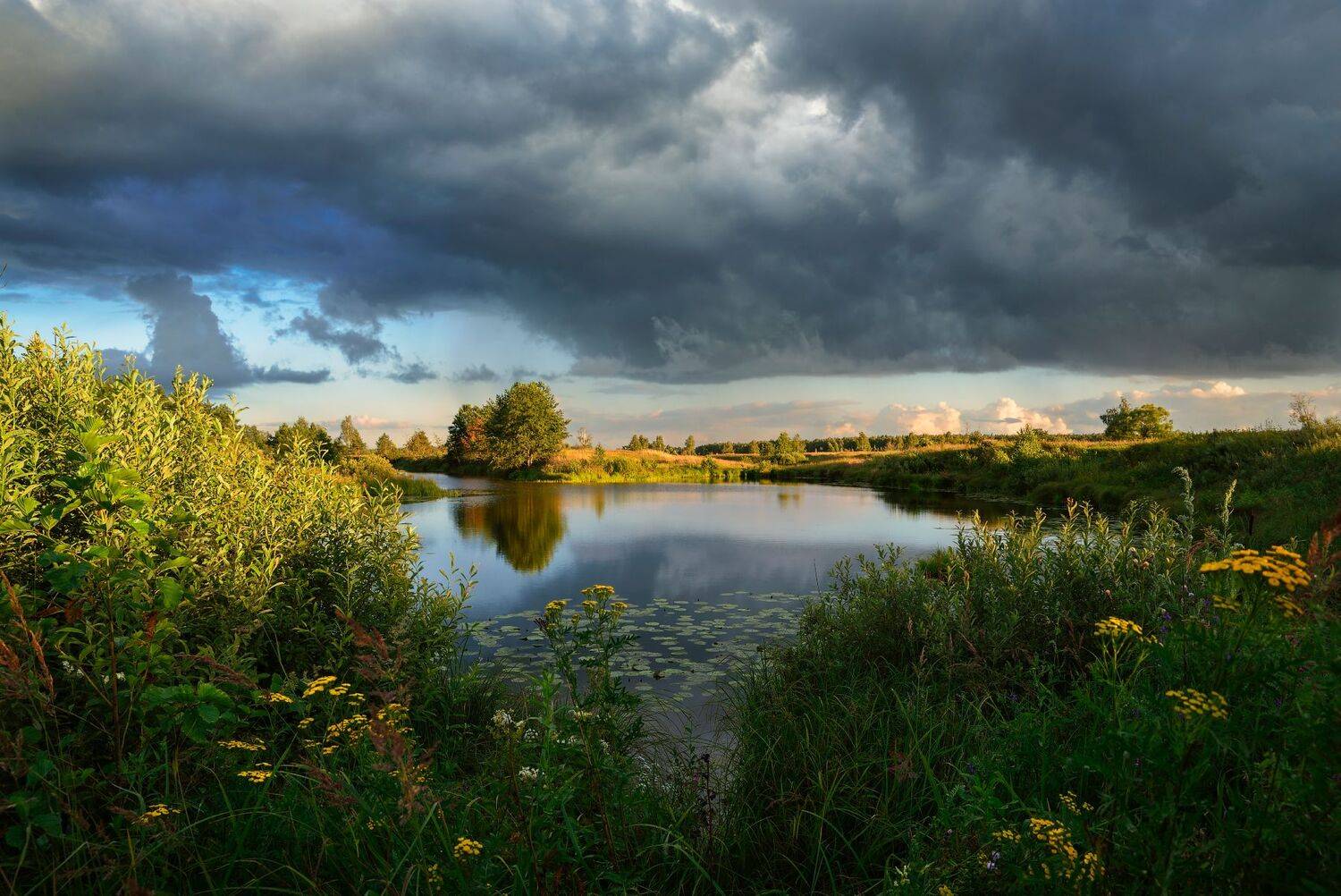 лето,вечер,река,заводь,небо,облака,тучи,отражение,свет, Виталий Полуэктов