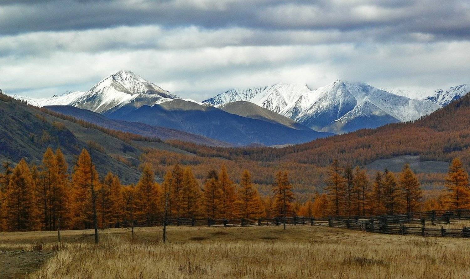 , Дмитрий Кононов