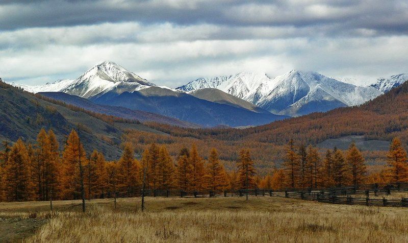 Накануне снегопада фото превью
