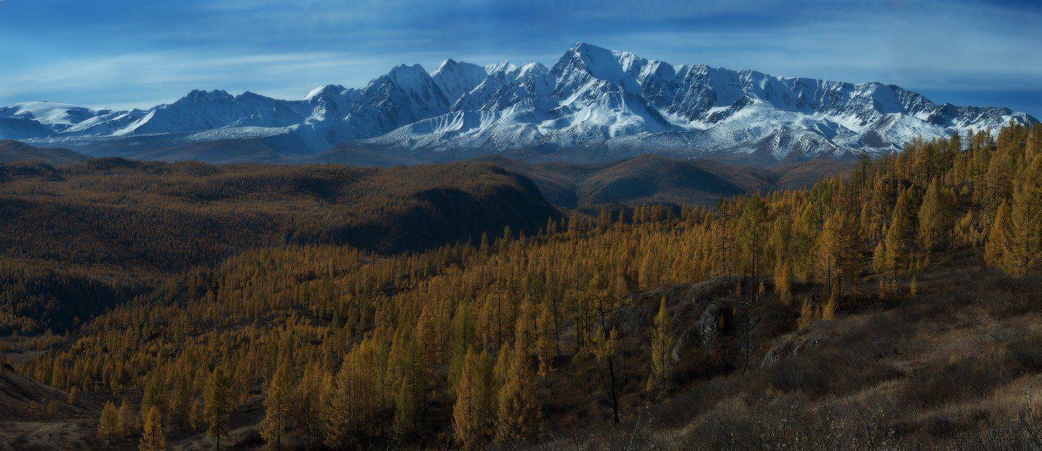 , Евгений Мартов