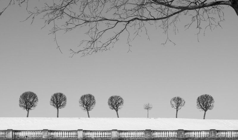 Марлёвое фото превью