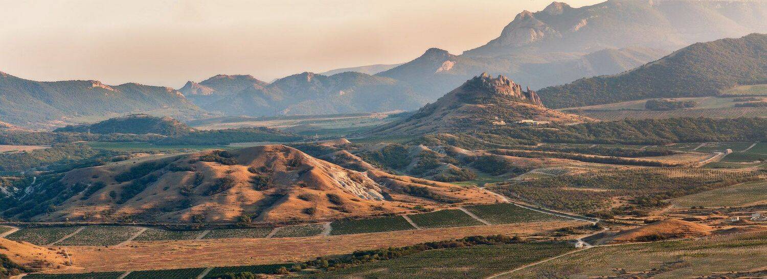 , Вейзе Максим