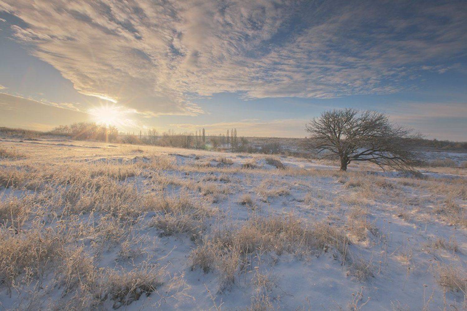 , Петр Антонович