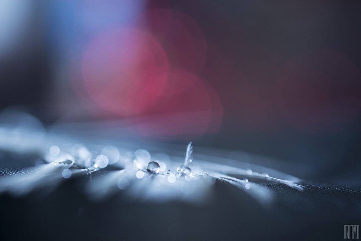 , Дмитрий Доронин