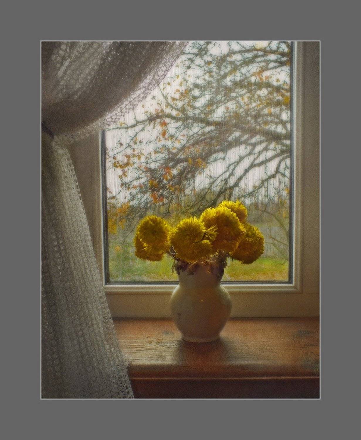 , Радковская Наталья