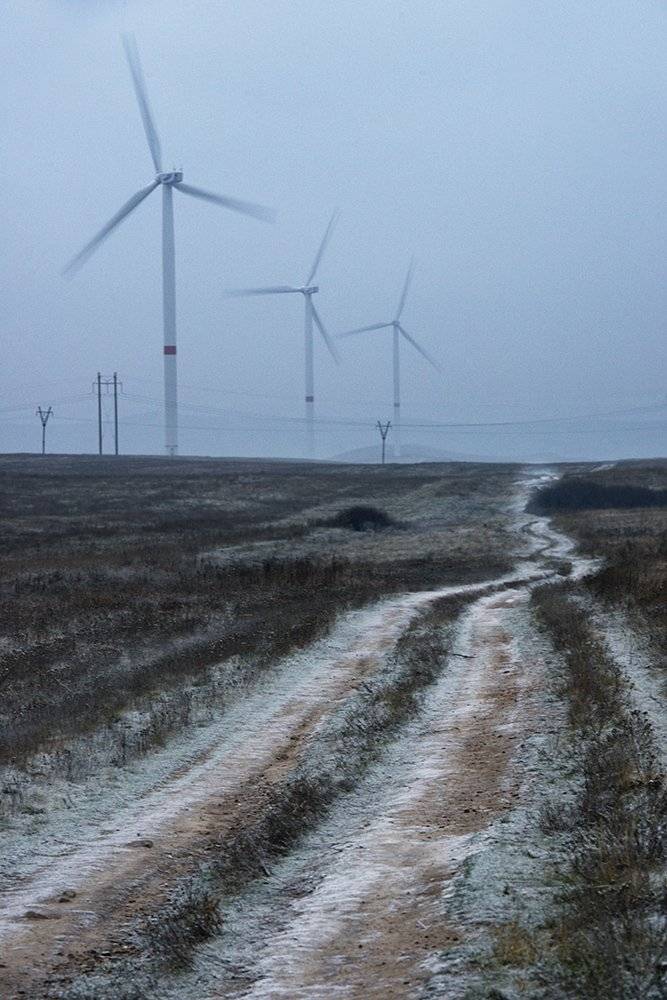 , Дeнис Бoдрoв