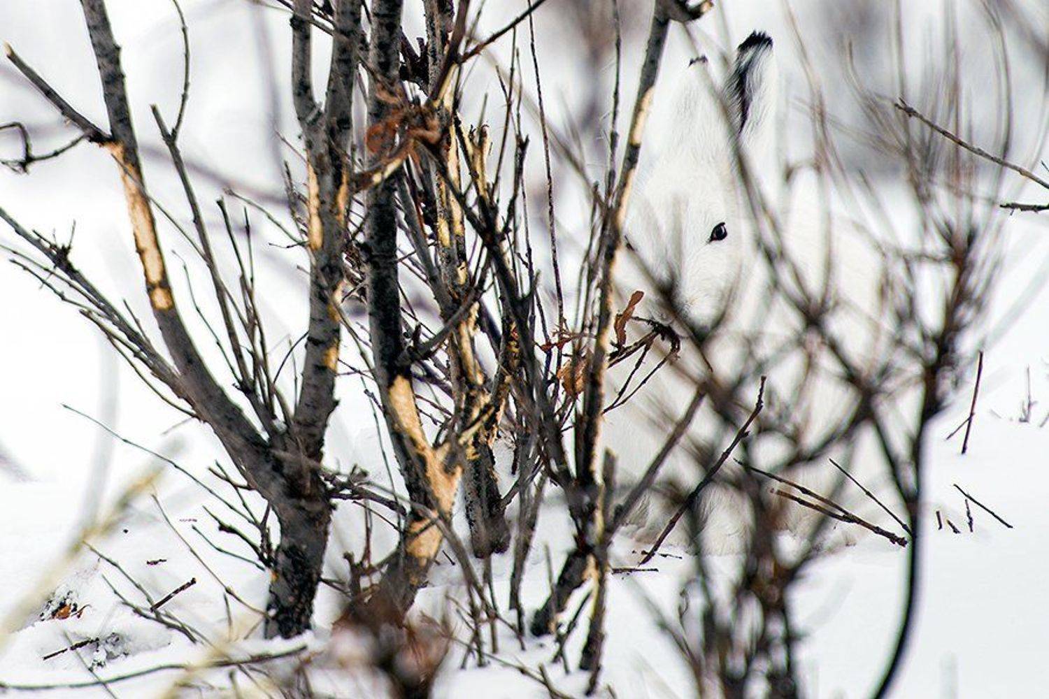 , Иван Кислов