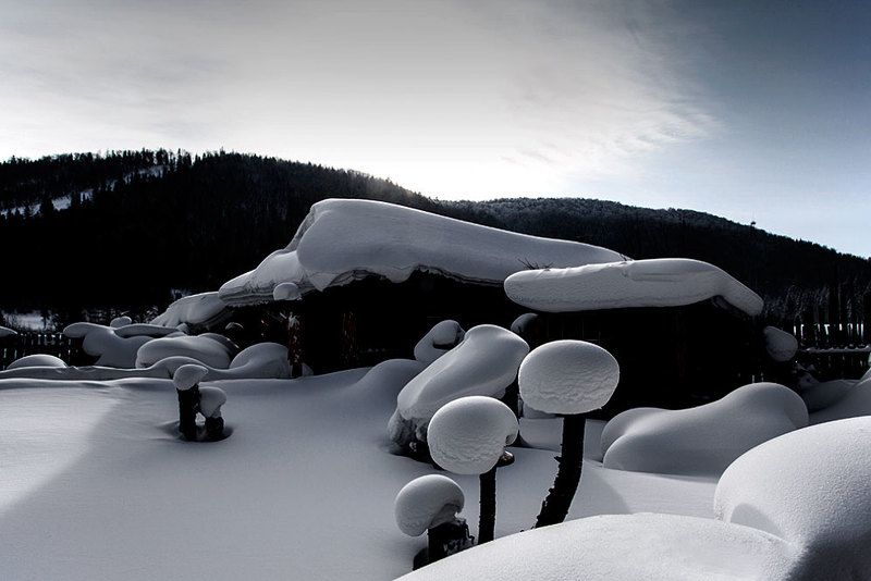 Into winter III фото превью