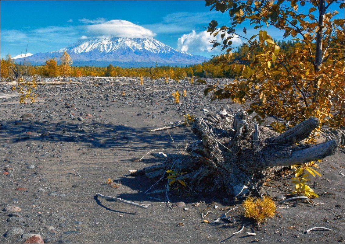 , Вадим Никифоров