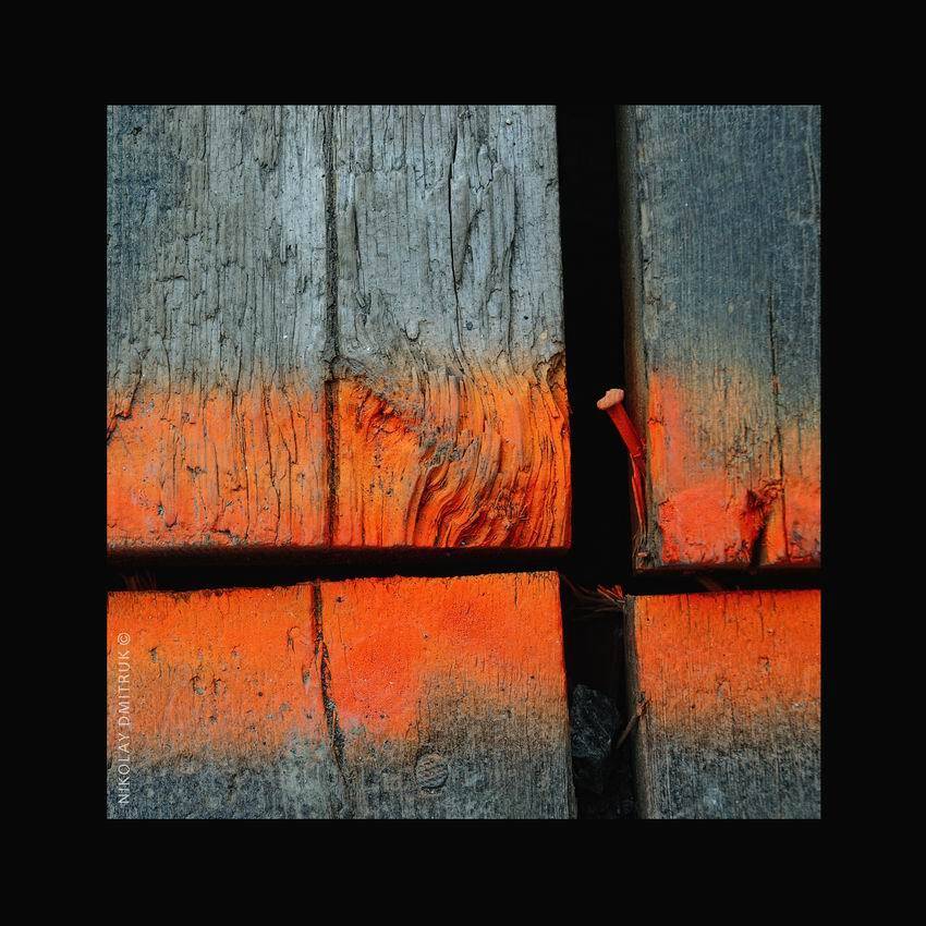 , николай дмитрук