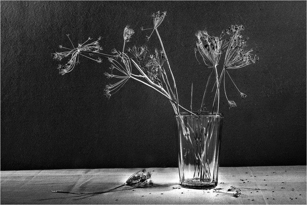 , Лев Сердюков