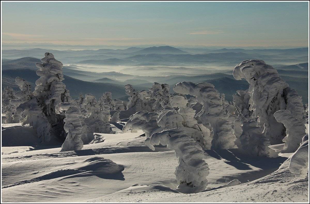 , Лихарев Александр