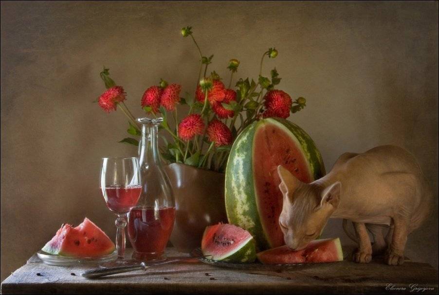 , Eleonora Grigorjeva