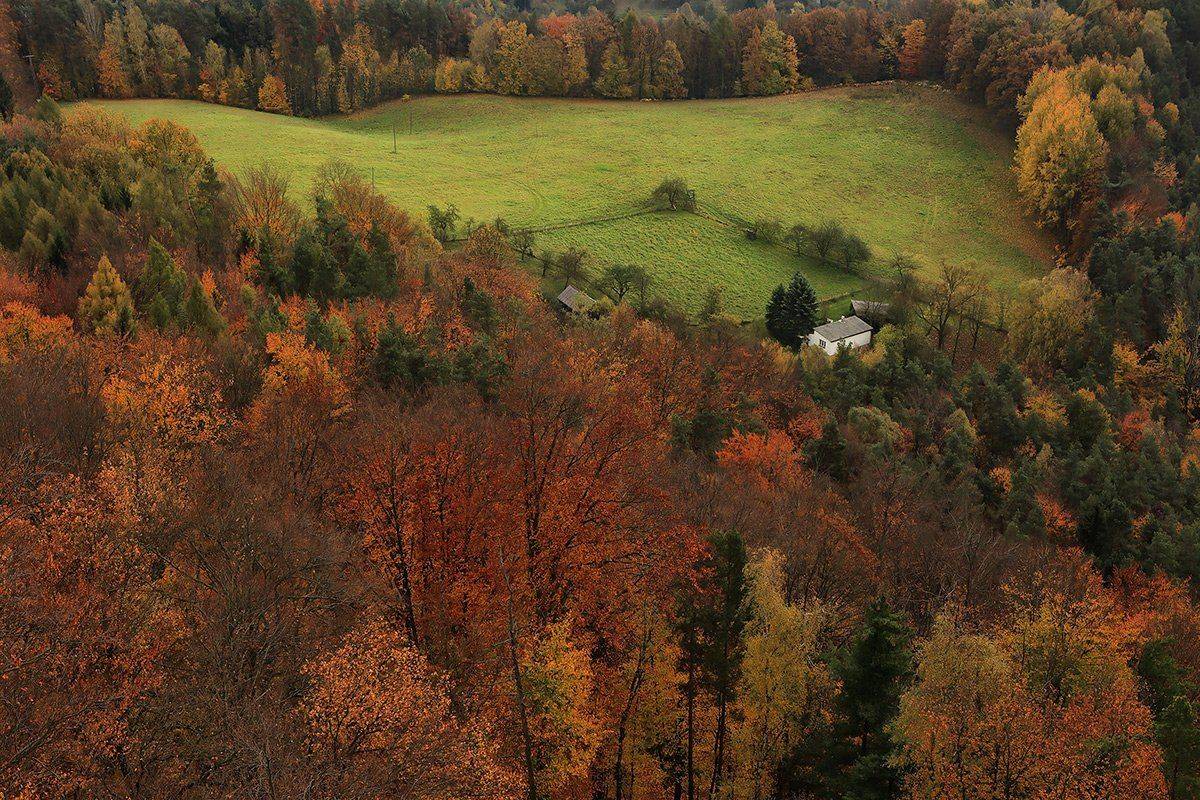 , Игорь Дубровский