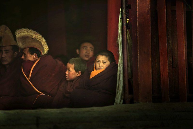 喇嘛生活 фото превью