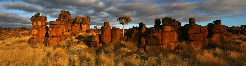 желательно не путешествовать с мертвецами фото превью