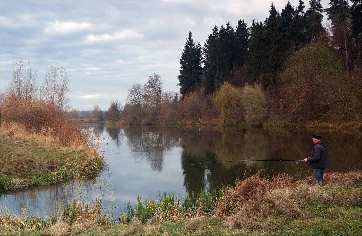 , Николай Шахманцир