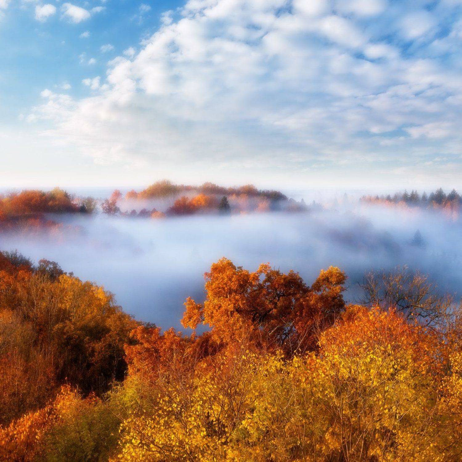 , Алексей Шандуров