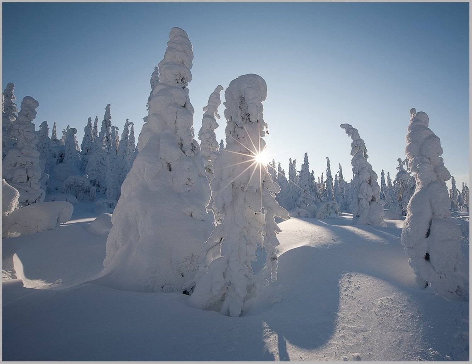 , Сергей Захаров.