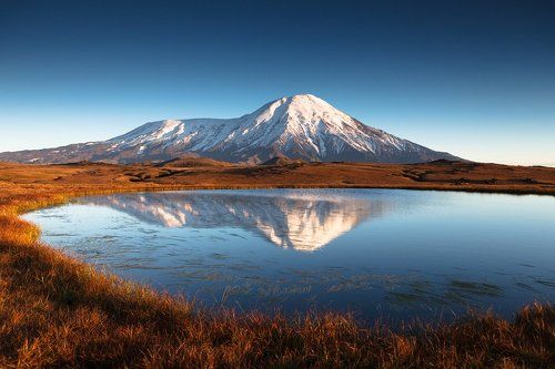 Reflection II