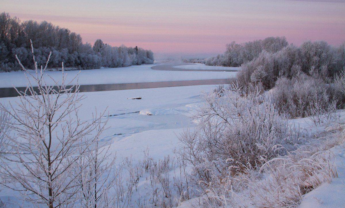 , Николай Морский