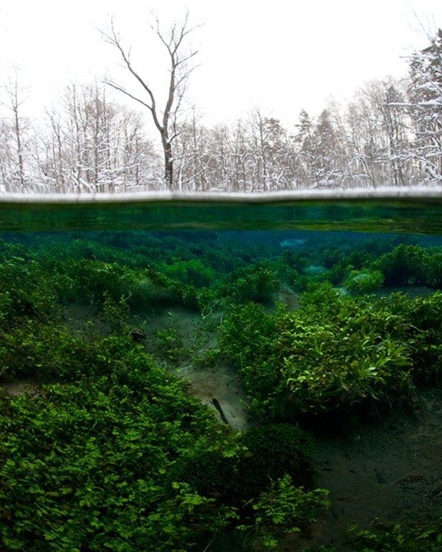 Зима подкралась незаметно. фото превью