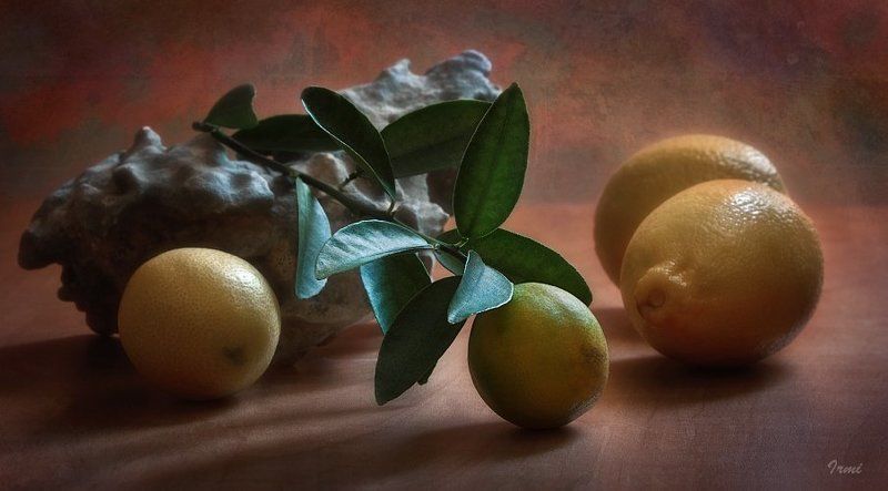 Лимоны фото превью