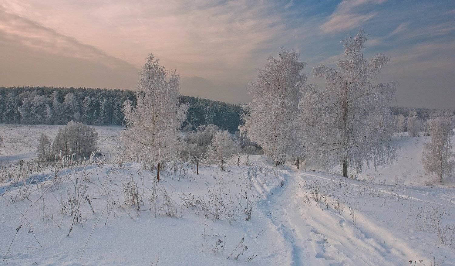 , Гелена Гленкова