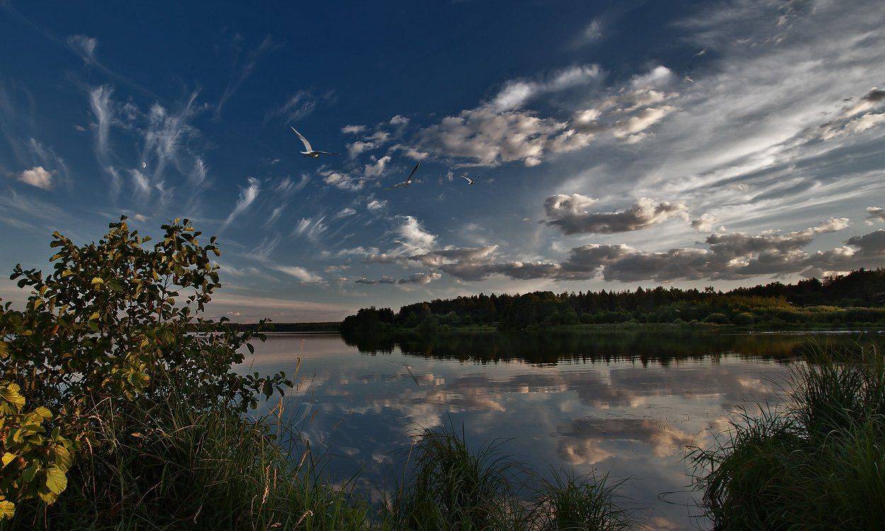 купавна., бисерово., Андрей Леонидович
